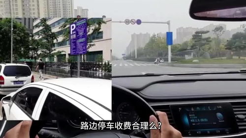 停車收費(fèi)亂象 只收費(fèi)不服務(wù)的背后隱憂
