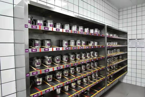 盛世開元喜宴酒店隆重舉行4D食品安全現場管理體系驗收表彰大會，引領行業管理新風尚